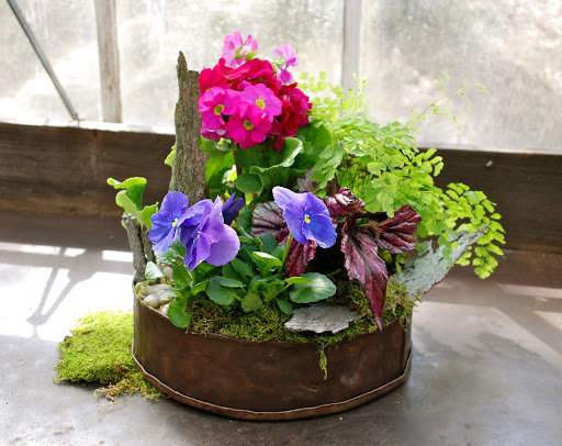 Florist «Earth Garden», reviews and photos, 89 Elm St, New Canaan, CT 06840, USA