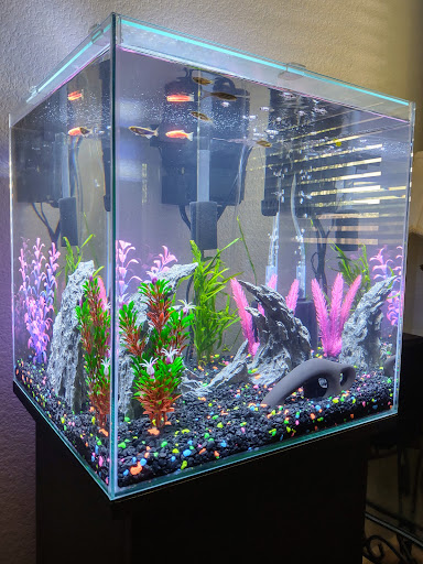 Pet Supply Store «PetSmart», reviews and photos, 8215 Laguna Blvd, Elk Grove, CA 95758, USA