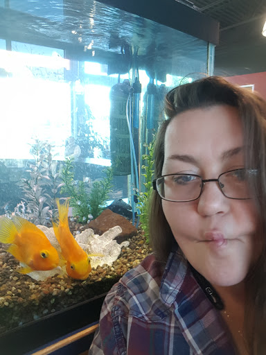 Used Car Dealer «Tom Masano Auto Retailers USA», reviews and photos, 3930 Pottsville Pike, Reading, PA 19605, USA