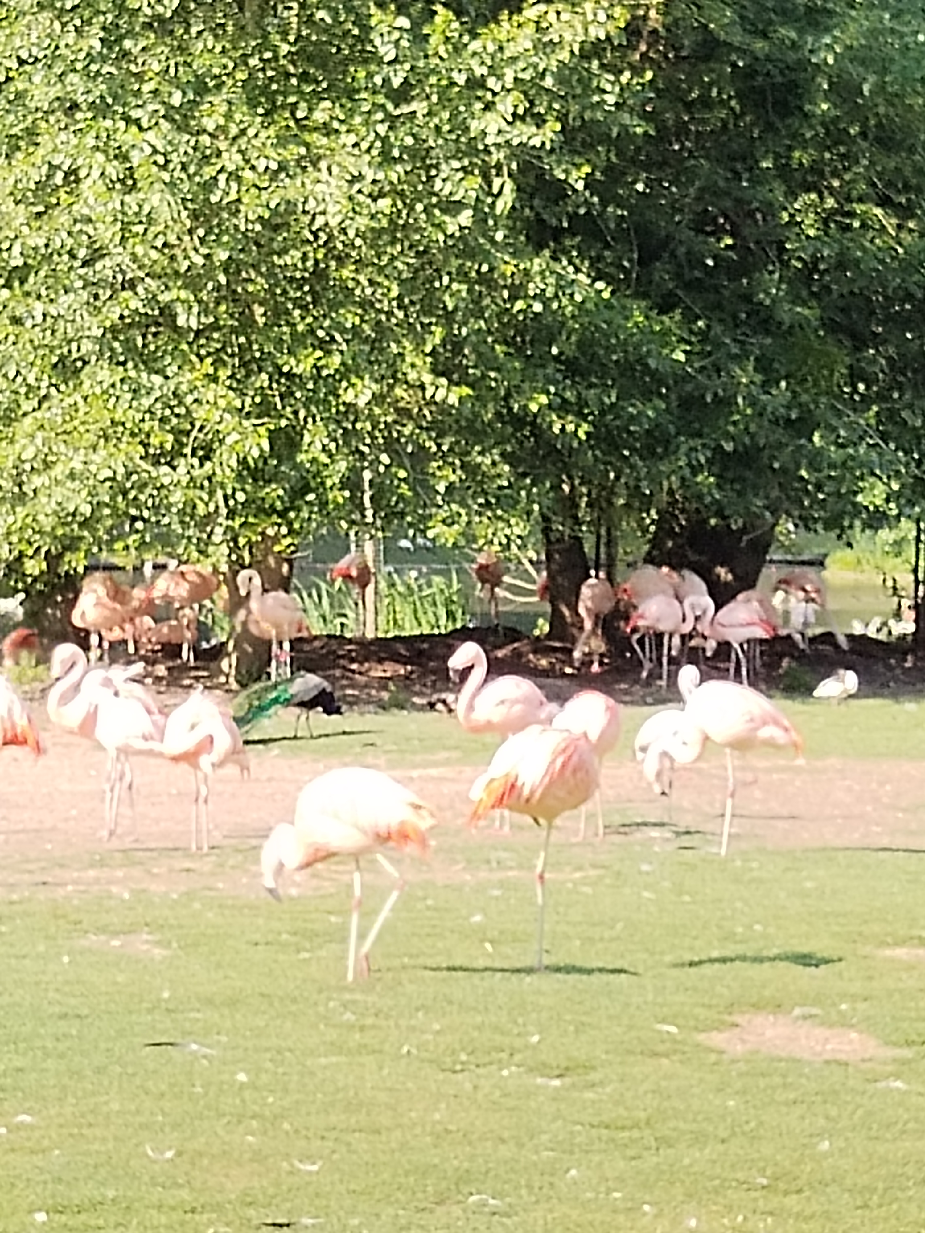 Photo n° 5 de l'avis de patricia. fait le 13/06/2023 à 16:57