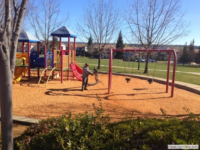 Applied Landscape Materials