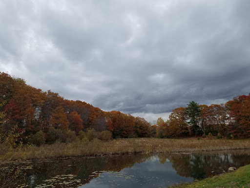 Nature Preserve «The Nature Trail and Cranberry Bog», reviews and photos, 252 Patriot Pl, Foxborough, MA 02035, USA