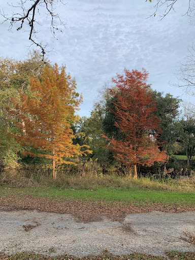 Public Golf Course «Landa Park Golf Course at Comal Springs», reviews and photos, 180 Golf Course Rd, New Braunfels, TX 78130, USA