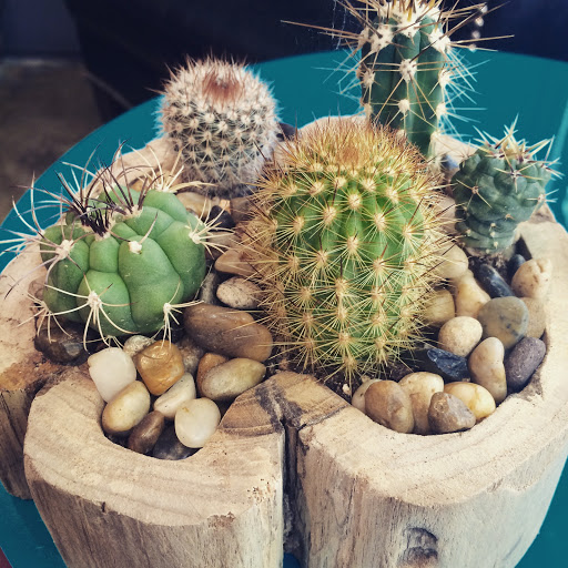 Florist «Juniper Flowers», reviews and photos, 459 N 36th St, Seattle, WA 98103, USA