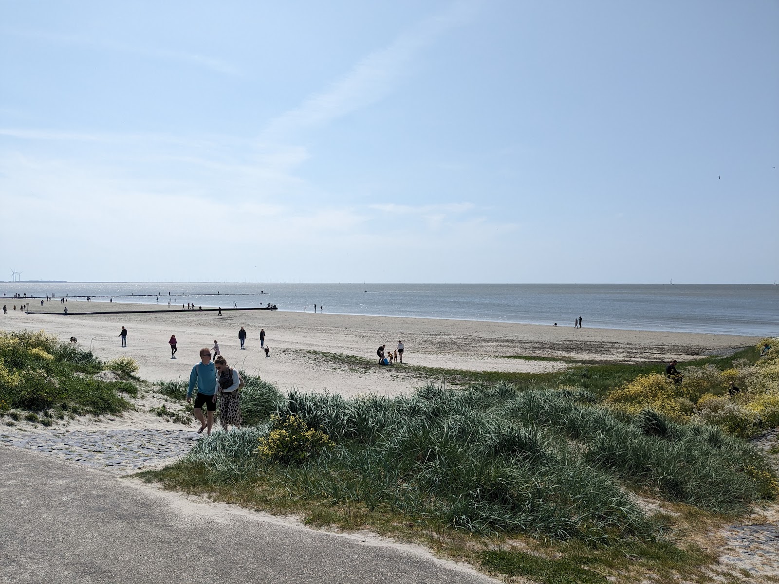 Photo of Harlingen Beach amenities area