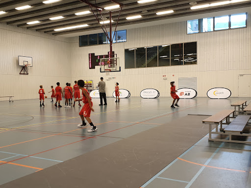 Basketbalclub Olicsa Antwerpen