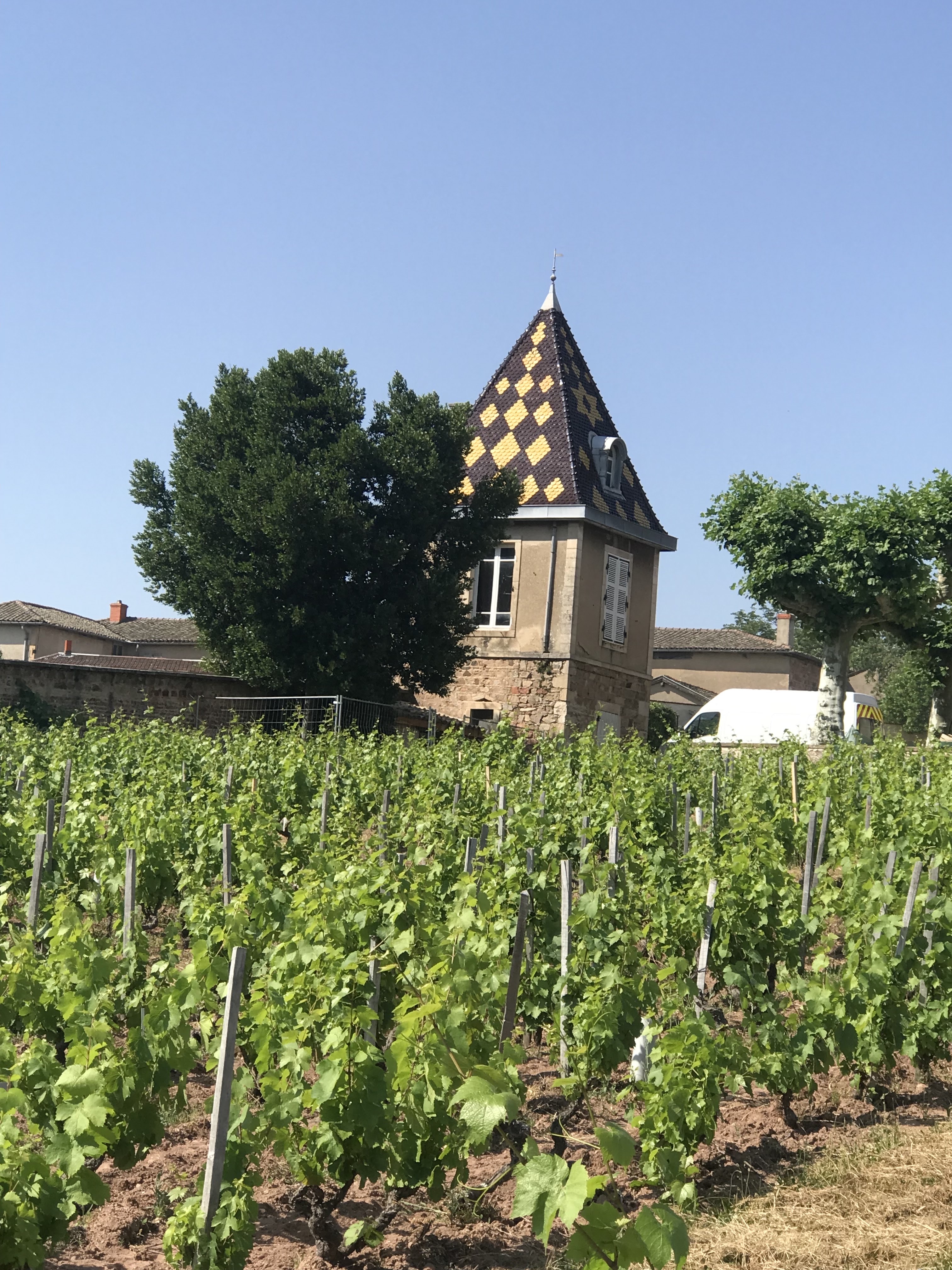 Photo n° 2 de l'avis de Les.e fait le 16/06/2021 à 15:04
