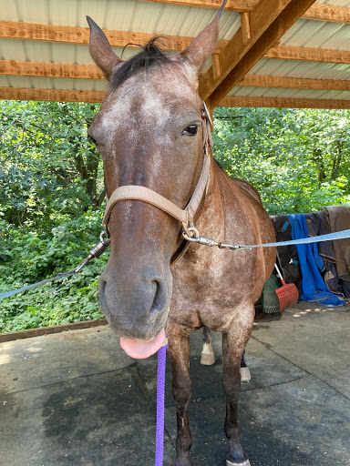 Mone Farms and Training Center