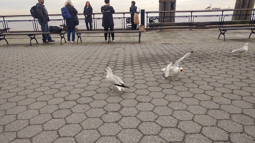 National Park «Castle Clinton National Monument», reviews and photos, Battery Park, New York, NY 10004, USA