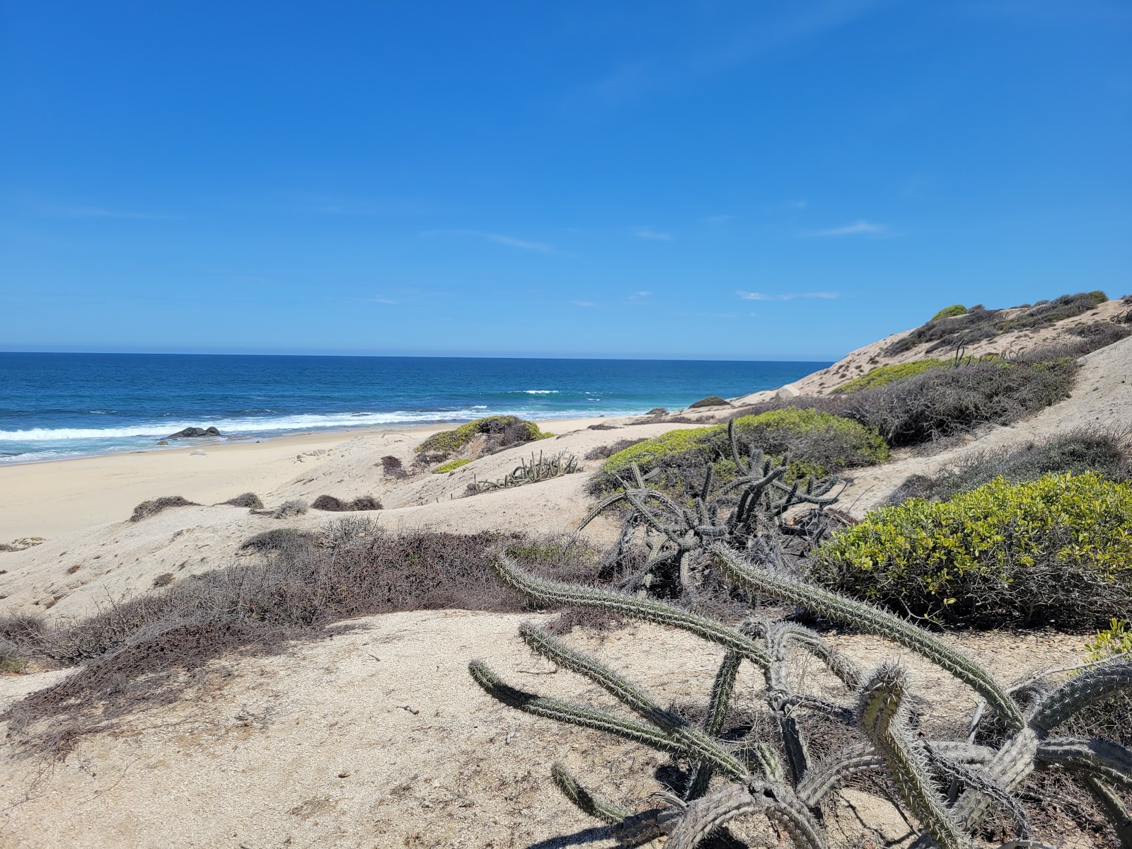 Foto di Playa Los Zacatitos con spiaggia spaziosa