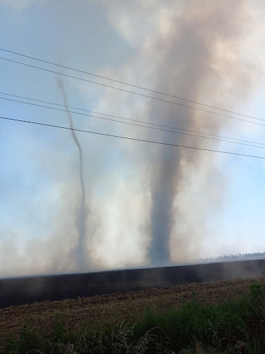 Pet Supply Store «Blue Parkway Bait & Pet Supplies», reviews and photos, 6921 Blue Pkwy, Kansas City, MO 64129, USA