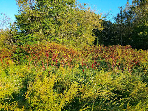 Nature Preserve «Governor Bridge Natural Area», reviews and photos, 7600 Governor Bridge Rd, Bowie, MD 20716, USA