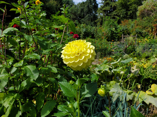 Park «Colman Park», reviews and photos, 1800 Lake Washington Blvd S, Seattle, WA 98144, USA