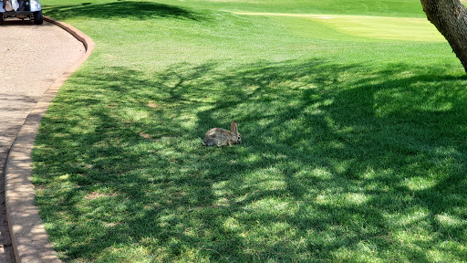 Golf Club «Lookout Mountain Golf Club», reviews and photos, 11111 N 7th St, Phoenix, AZ 85020, USA