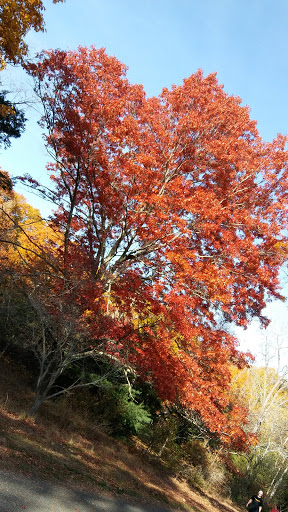 Park «Bare Cove Park», reviews and photos, Bare Cove Park Dr & Fort Hill St, Hingham, MA 02043, USA