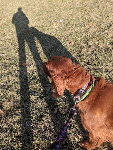 Criminal Justice Attorney «The OConnor Law Firm, P.C.», reviews and photos