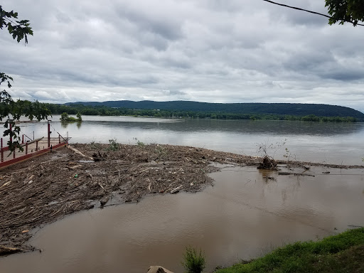 Ferry Service «Millersburg Ferry», reviews and photos, River St, Millersburg, PA 17061, USA