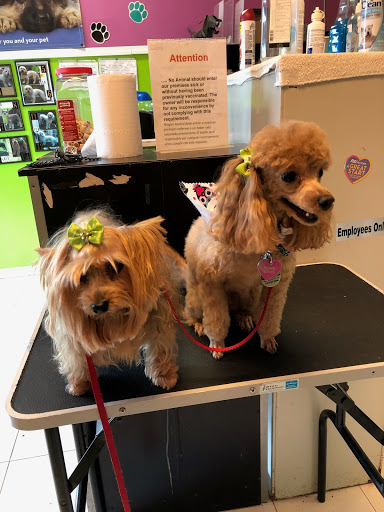 Pet Groomer «Puppies & Grooming», reviews and photos, 28858 S Dixie Hwy, Homestead, FL 33033, USA