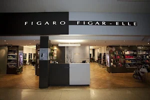 Figaro Figar-Elle image