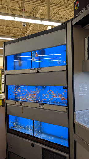 Pet Supply Store «Petco Animal Supplies», reviews and photos, 10315 E Shelby Dr, Collierville, TN 38017, USA