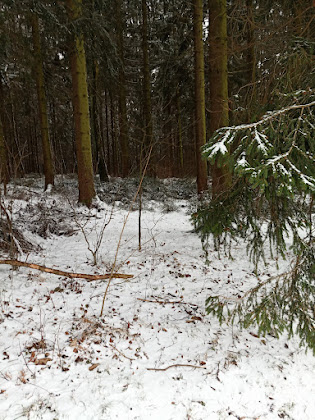 Photos des visiteurs Ferienwohnung Kühne's 4 Sterne Komfort-Apartments 38700 Braunlage