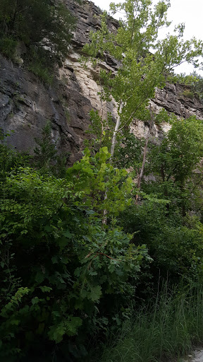 Tourist Attraction «Wabash Frisco & Pacific Railway», reviews and photos, 101 Grand Ave, Glencoe, MO 63038, USA