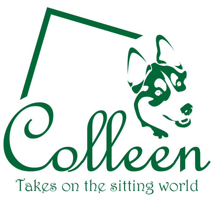 Colleen Takes on the Sitting World