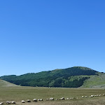 Photo n°1 de l'avis de Valerio.i fait le 07/07/2021 à 13:57 sur le  Rifugio Fonte Vetica à Castel del Monte
