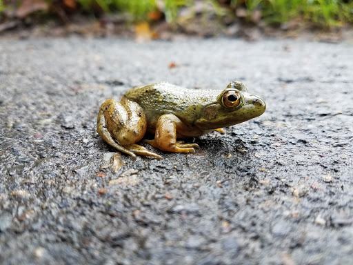 Park «Rood Bridge Park», reviews and photos, 4000 SE Rood Bridge Rd, Hillsboro, OR 97123, USA