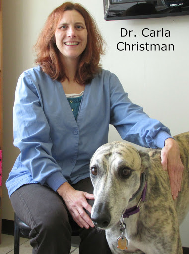 Healthy Pet Veterinary Clinic image