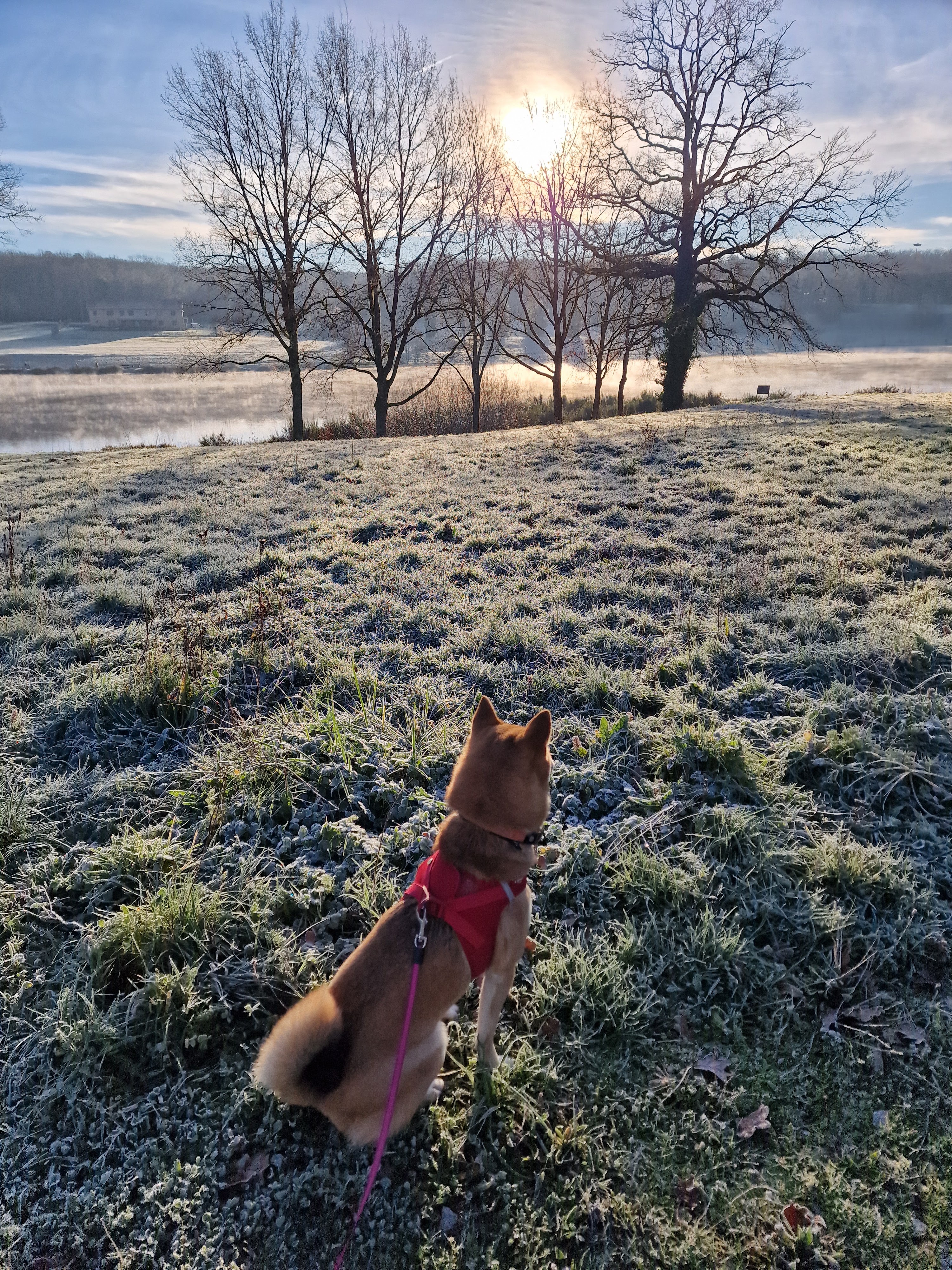 Photo n° 3 de l'avis de Esther.i fait le 29/12/2023 à 08:15