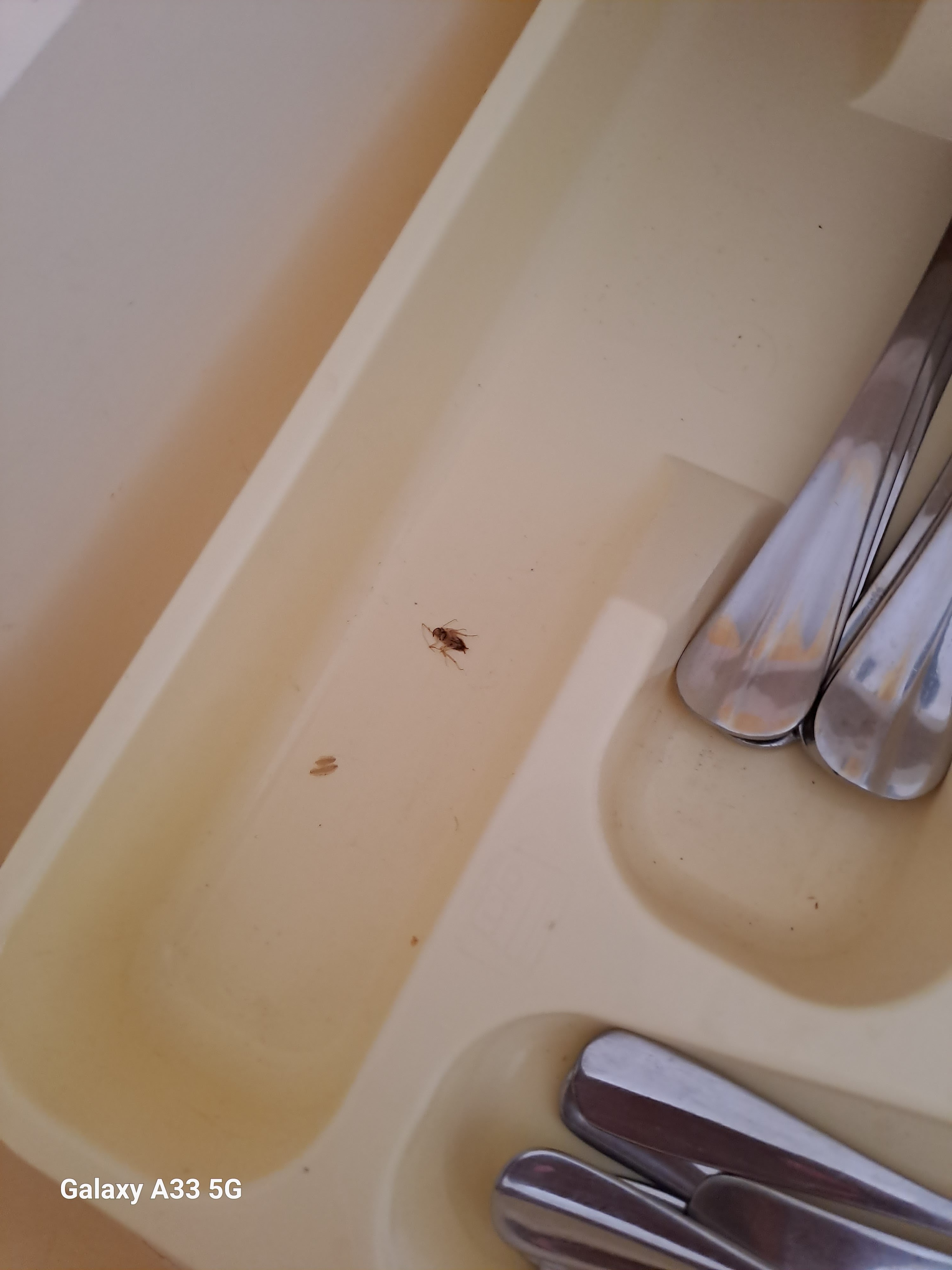 Photo n° 4 de l'avis de Émilie.u fait le 20/09/2023 à 19:42
