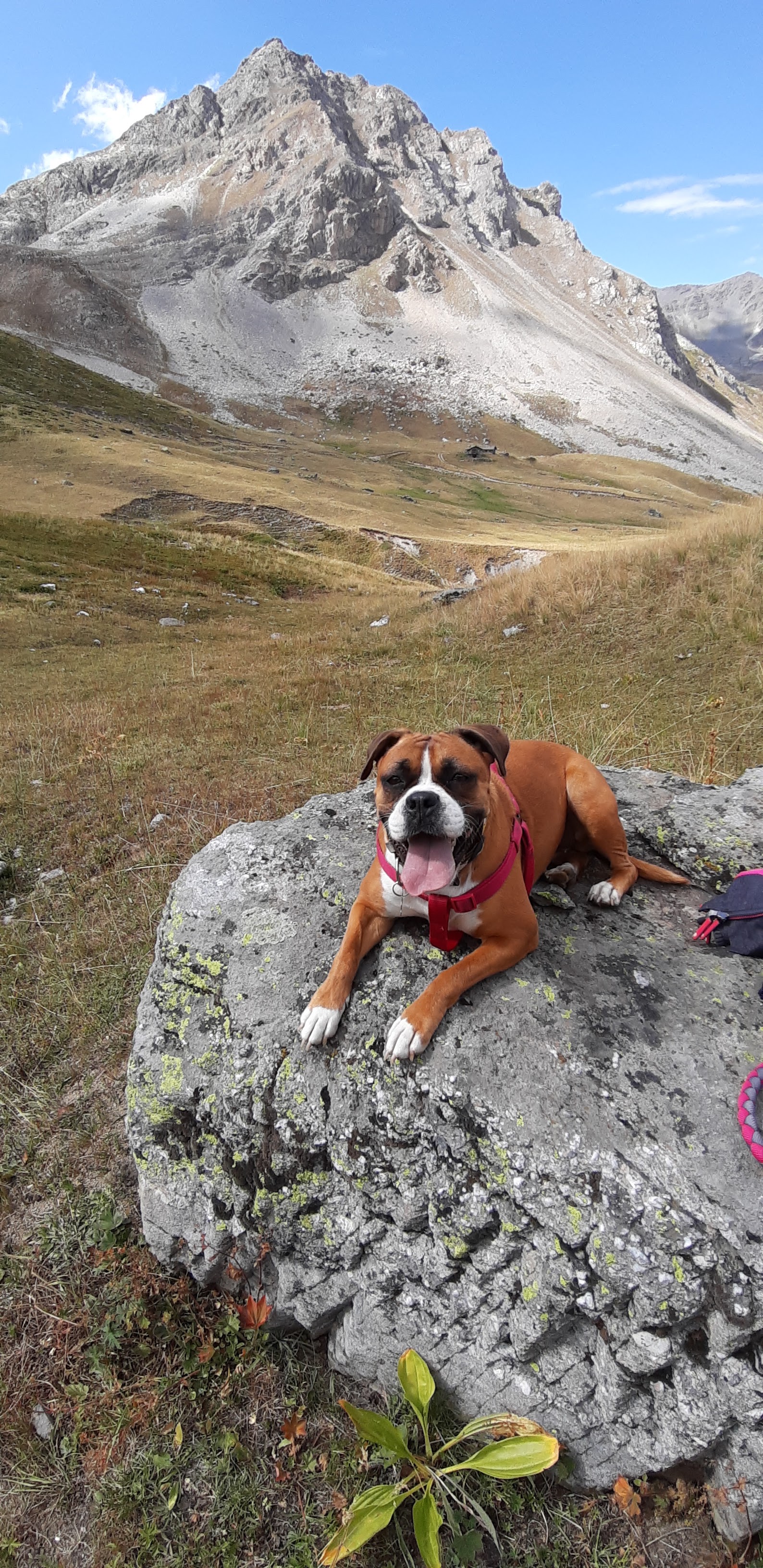 Photo n° 3 de l'avis de Isa.o fait le 20/08/2022 à 15:48
