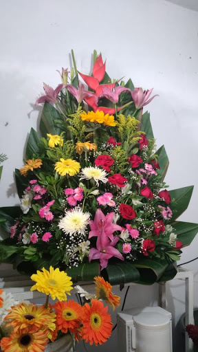 Florería Lupita – Colima