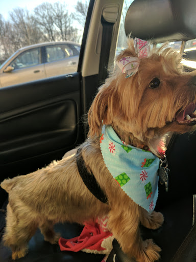 Pet Supply Store «PetSmart», reviews and photos, 901 US-1, North Brunswick Township, NJ 08902, USA