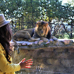 Photo n°4 de l'avis de Dumitru.a fait le 06/05/2022 à 19:21 sur le  Parco Zoo Falconara Srl à Falconara Marittima