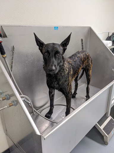 Pet Supply Store «Centinela Feed & Pet Supplies», reviews and photos, 11055 W Pico Blvd, Los Angeles, CA 90064, USA