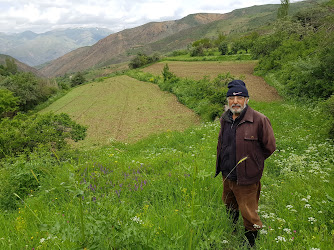 Aktaş Köyü Muhtarlığı