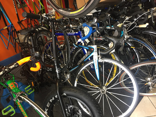 Bicycle Store «Andante Bicycle Shop», reviews and photos, 20277 Old Cutler Rd, Cutler Bay, FL 33189, USA