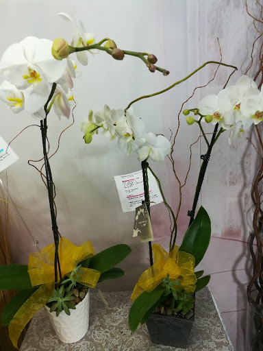 Florist «Joy Flower Shop», reviews and photos, 7630 Fair Oaks Blvd, Carmichael, CA 95608, USA