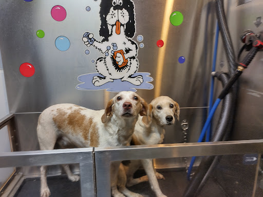 Pet Groomer «Belly scRubs Self Service Pet Wash», reviews and photos, 119 WV-34 #1, Hurricane, WV 25526, USA