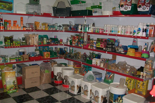 Clínica Veterinaria GUAYUS - Bailén