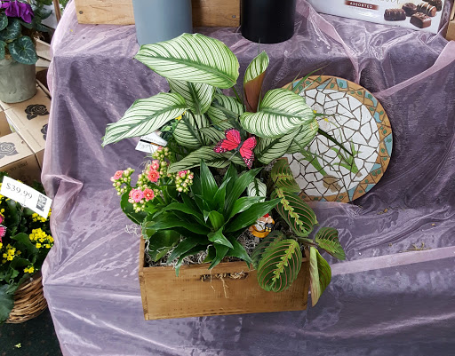 Florist «Lollypops & Roses», reviews and photos, 2050 Lancaster Dr NE, Salem, OR 97305, USA