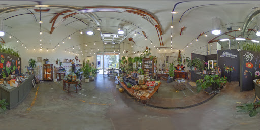 Florist «California Sister Floral Design & Supply», reviews and photos, 6790 McKinley St #190, Sebastopol, CA 95472, USA