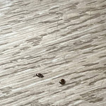 Photo n°1 de l'avis de Mohammad.h fait le 10/07/2023 à 07:46 sur le  Doria Grand Hotel à Milan