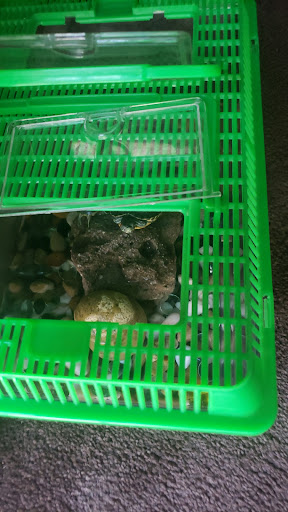 Pet Supply Store «PetSmart», reviews and photos, 2760 W 120th St, Hawthorne, CA 90250, USA