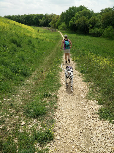 Park «McAllister Park», reviews and photos, 13102 Jones Maltsberger Rd, San Antonio, TX 78247, USA