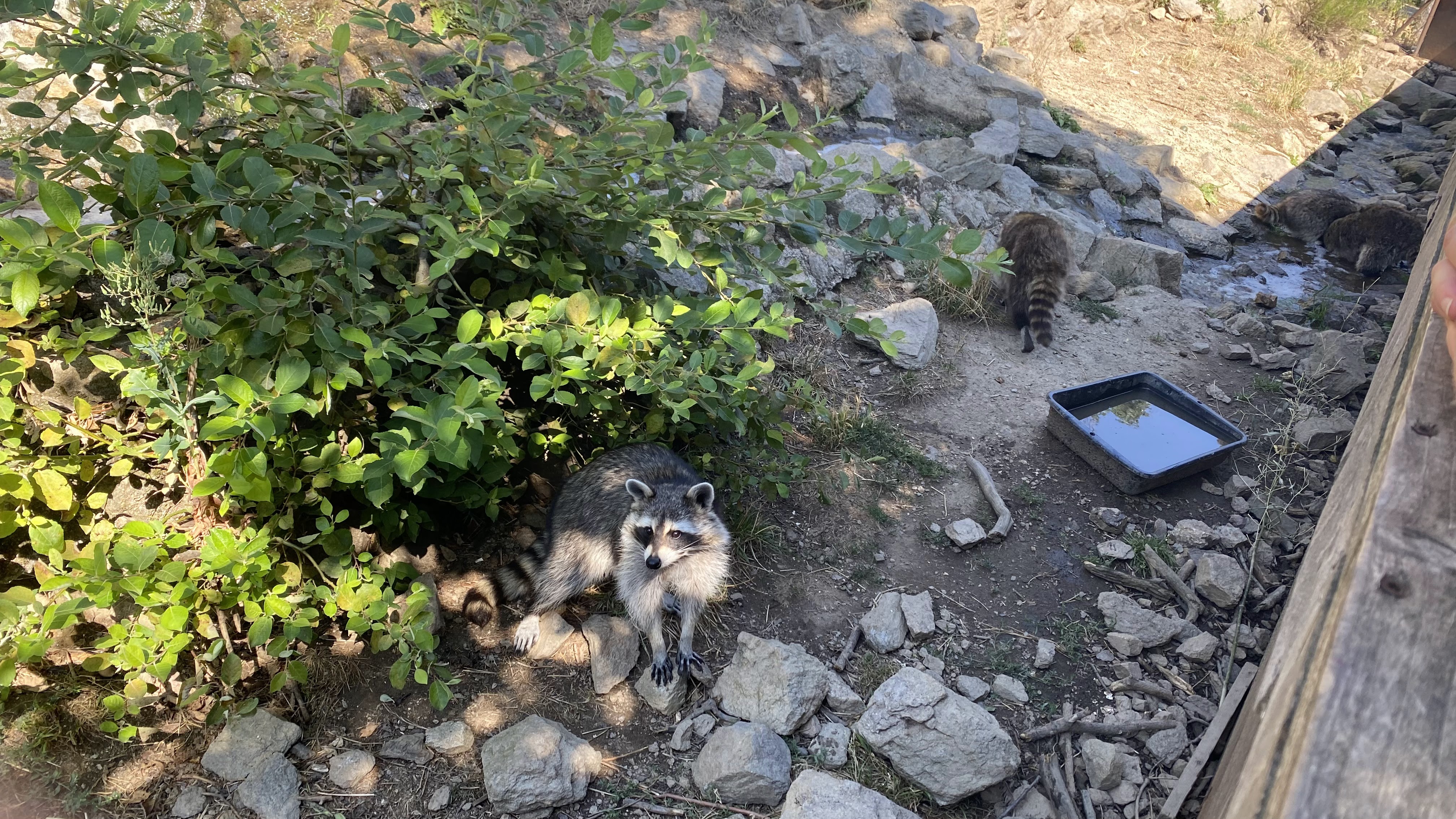 Photo n° 28 de l'avis de Olivier.e fait le 06/08/2022 à 17:29