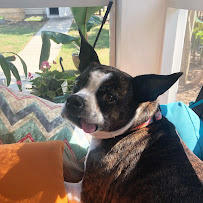 Star Insurance Group - Photo 2 - Car repair in Charlotte, NC, Charlotte