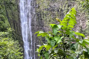 Waimoku Falls image